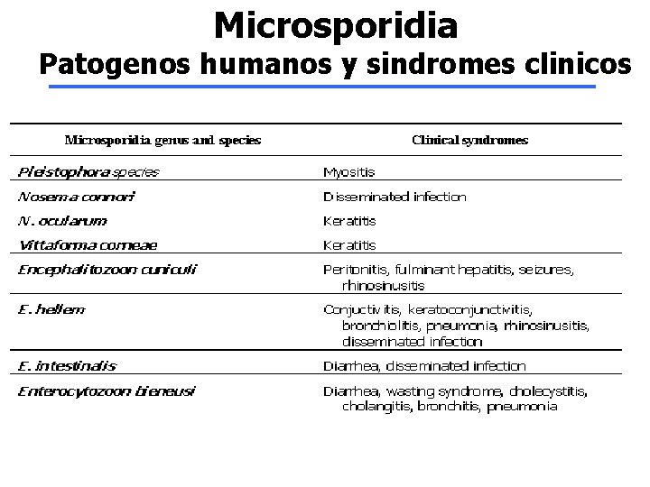 Microsporidia Patogenos humanos y sindromes clinicos 