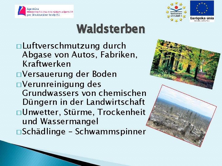 Waldsterben � Luftverschmutzung durch Abgase von Autos, Fabriken, Kraftwerken � Versauerung der Boden �