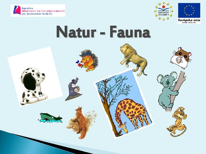 Natur - Fauna 