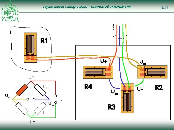 Experimentální metody v oboru – ODPOROVÁ TENZOMETRIE 24/47 R 1 U+ Um U+ R