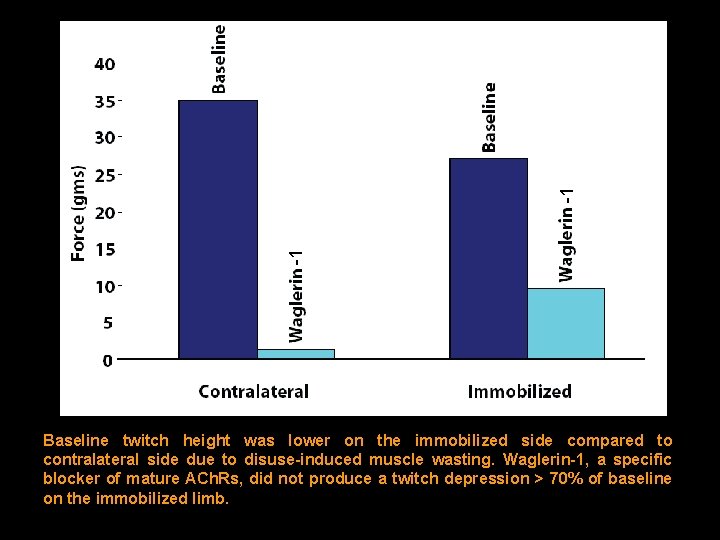 -1 -1 Baseline twitch height was lower on the immobilized side compared to contralateral