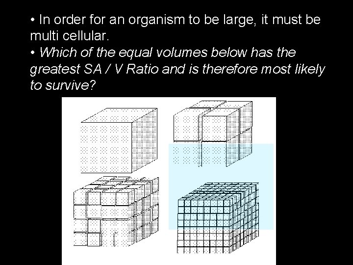  • In order for an organism to be large, it must be multi