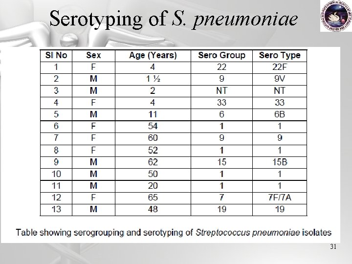 Serotyping of S. pneumoniae 31 
