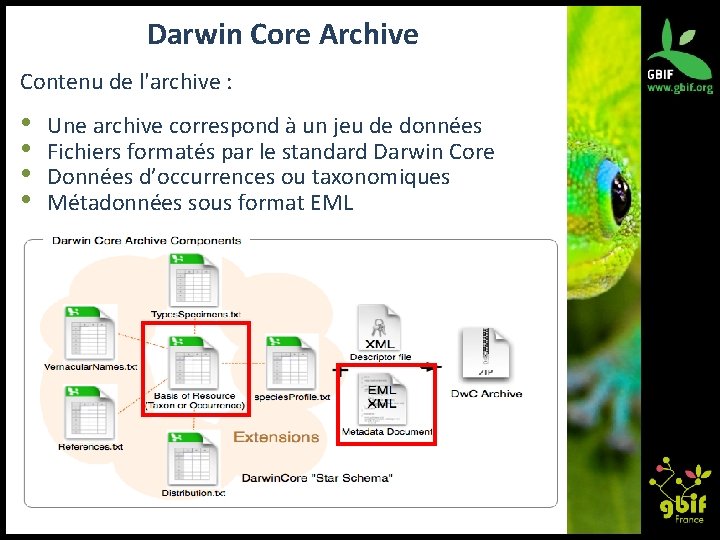 Darwin Core Archive Contenu de l'archive : • • Une archive correspond à un