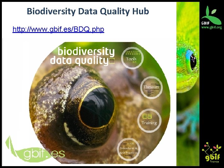 Biodiversity Data Quality Hub http: //www. gbif. es/BDQ. php 