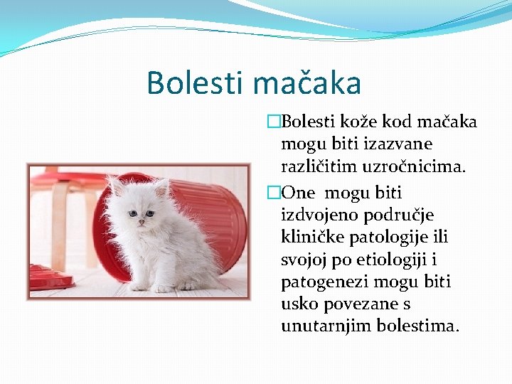 Bolesti mačaka �Bolesti kože kod mačaka mogu biti izazvane različitim uzročnicima. �One mogu biti