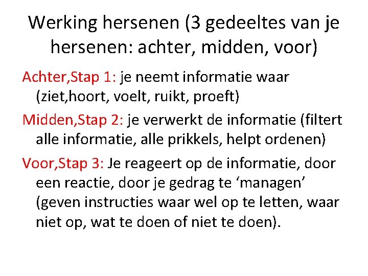 Werking hersenen (3 gedeeltes van je hersenen: achter, midden, voor) Achter, Stap 1: je