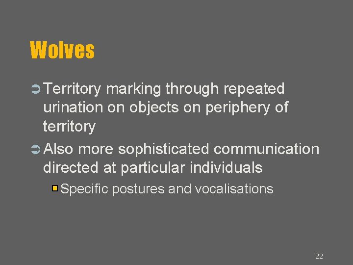 Wolves Territory marking through repeated urination on objects on periphery of territory Also more