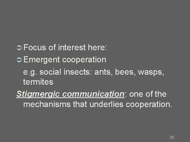  Focus of interest here: Emergent cooperation e. g. social insects: ants, bees, wasps,