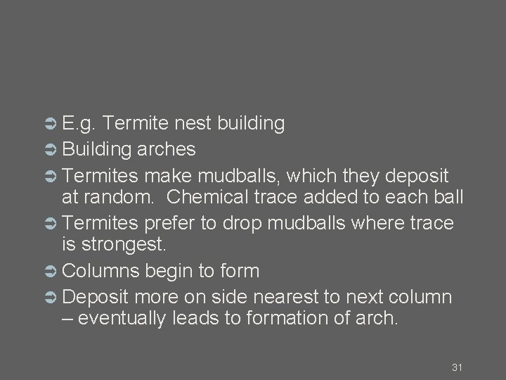  E. g. Termite nest building Building arches Termites make mudballs, which they deposit