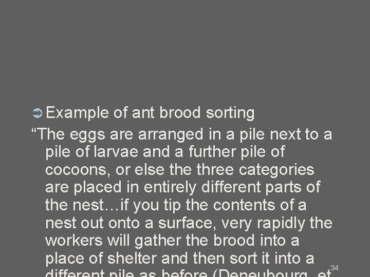  Example of ant brood sorting “The eggs are arranged in a pile next