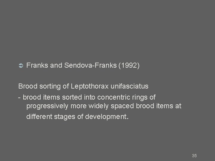  Franks and Sendova-Franks (1992) Brood sorting of Leptothorax unifasciatus - brood items sorted