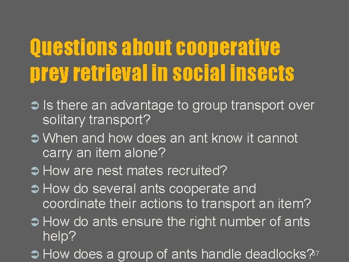 Questions about cooperative prey retrieval in social insects Is there an advantage to group