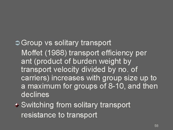  Group vs solitary transport Moffet (1988) transport efficiency per ant (product of burden