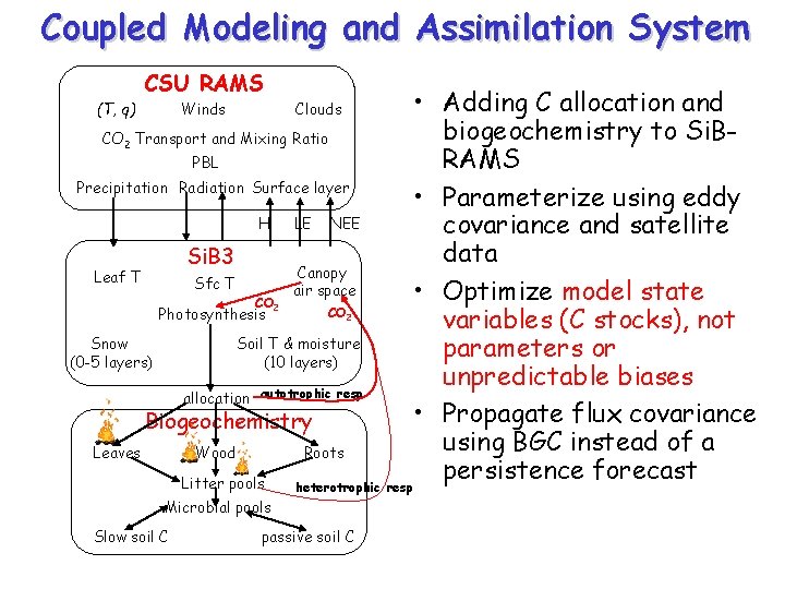 Coupled Modeling and Assimilation System CSU RAMS • Adding C allocation and biogeochemistry to