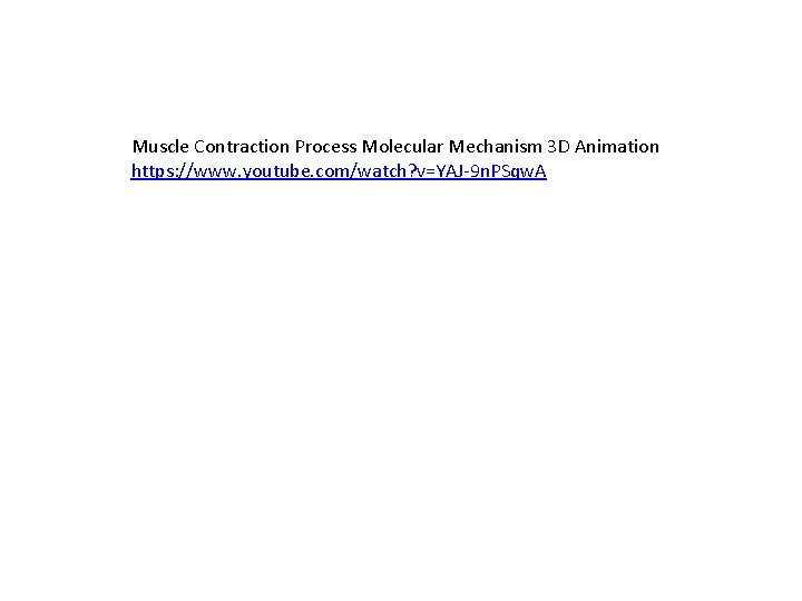 Muscle Contraction Process Molecular Mechanism 3 D Animation https: //www. youtube. com/watch? v=YAJ-9 n.