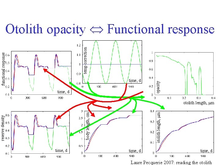 time, d opacity functional response temp correction Otolith opacity Functional response reserve density body
