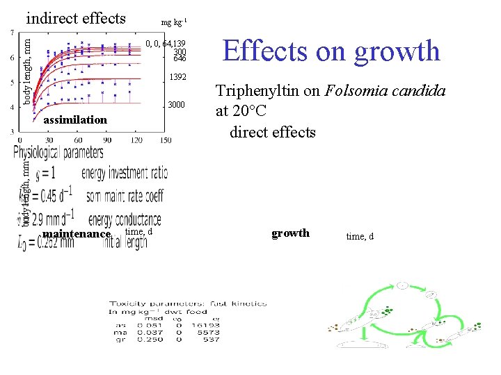 body length, mm indirect effects mg kg-1 0, 0, 64, 139 300 646 1392