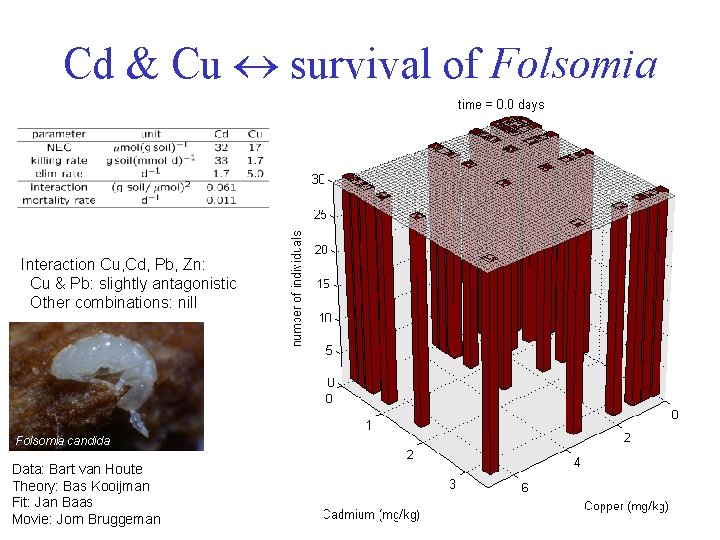 Cd & Cu survival of Folsomia Interaction Cu, Cd, Pb, Zn: Cu & Pb: