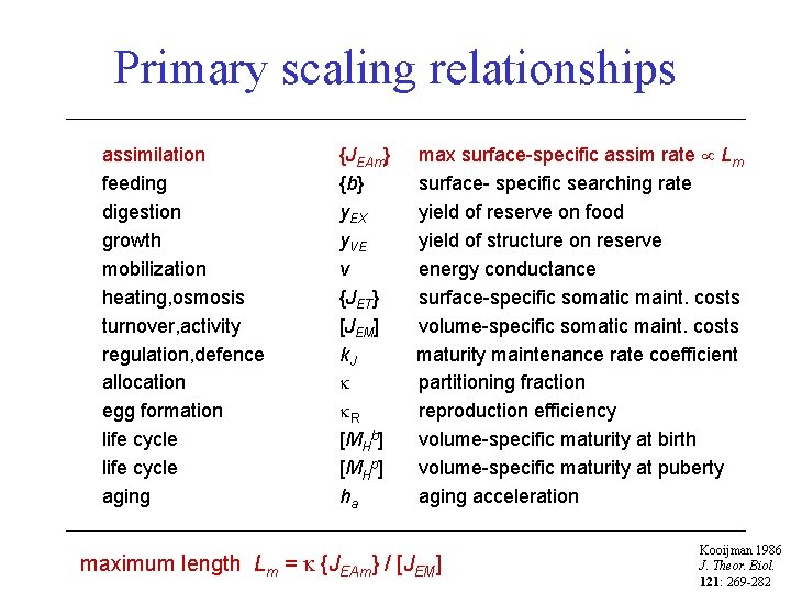 Primary scaling relationships assimilation feeding digestion growth mobilization heating, osmosis turnover, activity regulation, defence
