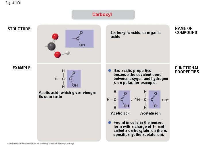 Fig. 4 -10 c Carboxyl STRUCTURE Carboxylic acids, or organic acids EXAMPLE Has acidic