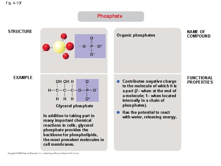 Fig. 4 -10 f Phosphate STRUCTURE Organic phosphates EXAMPLE Glycerol phosphate In addition to