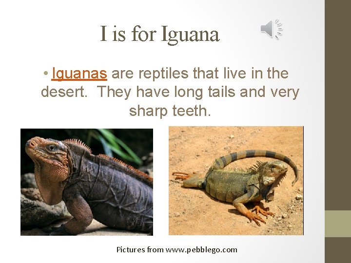 I is for Iguana • Iguanas are reptiles that live in the desert. They
