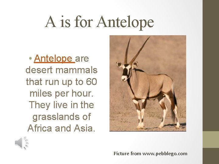 A is for Antelope • Antelope are desert mammals that run up to 60