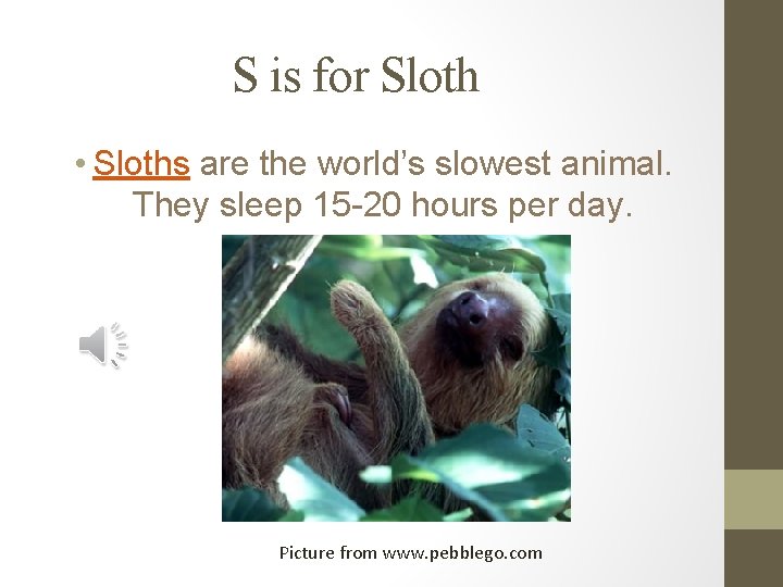 S is for Sloth • Sloths are the world’s slowest animal. They sleep 15