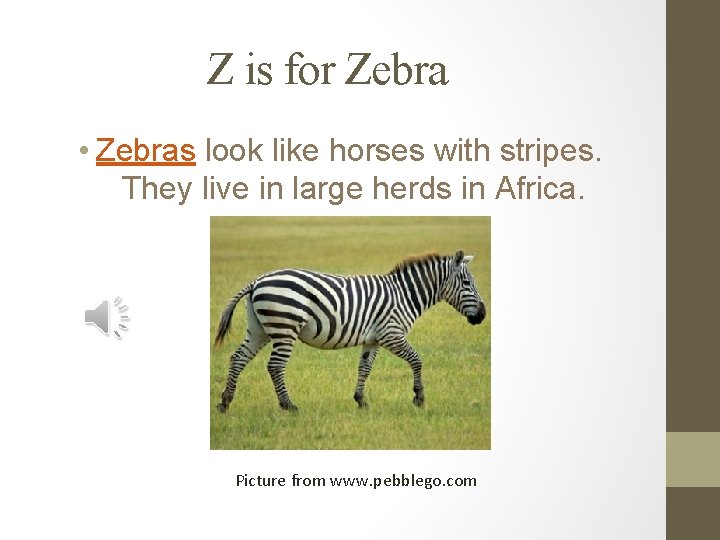 Z is for Zebra • Zebras look like horses with stripes. They live in