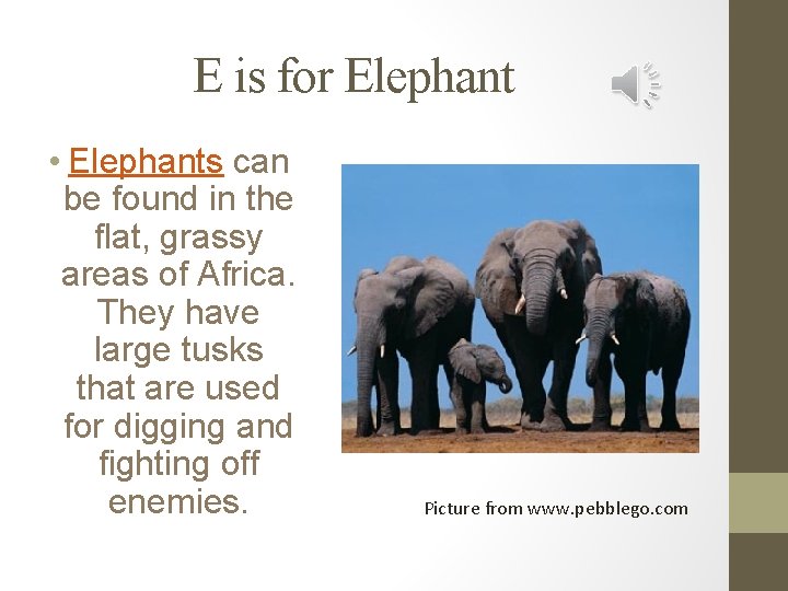 E is for Elephant • Elephants can be found in the flat, grassy areas