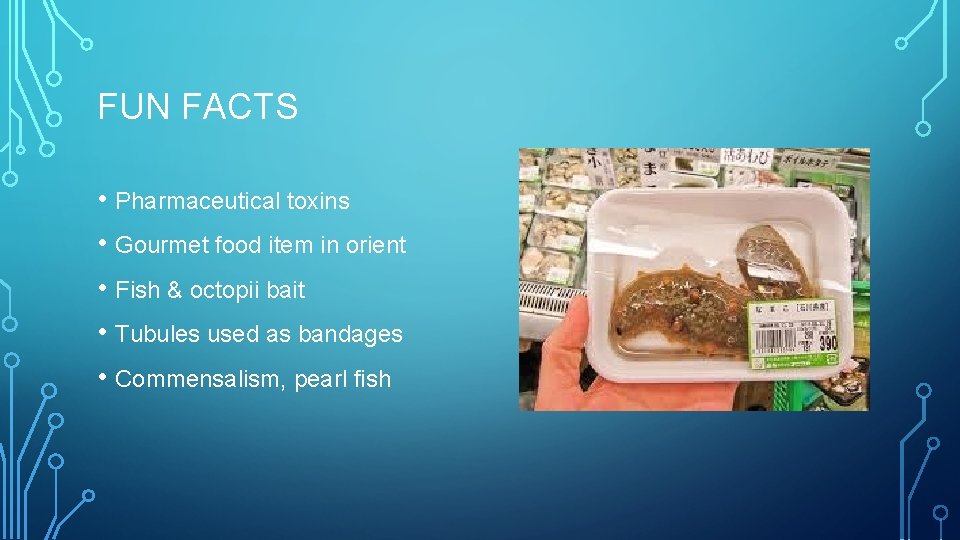FUN FACTS • Pharmaceutical toxins • Gourmet food item in orient • Fish &