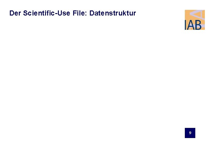 Der Scientific-Use File: Datenstruktur 9 