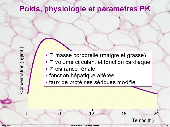 Concentration (µg/m. L) Poids, physiologie et paramètres PK • masse corporelle (maigre et grasse)