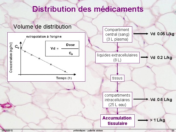 Distribution des médicaments Volume de distribution Compartiment central (sang) (3 L plasma) Vd 0.