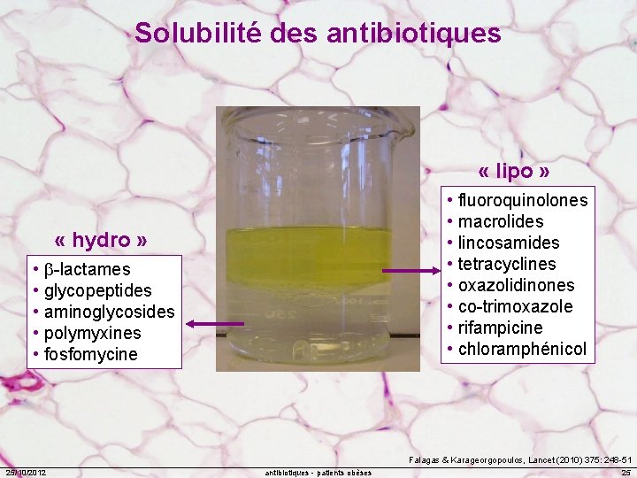 Solubilité des antibiotiques « lipo » • fluoroquinolones • macrolides • lincosamides • tetracyclines