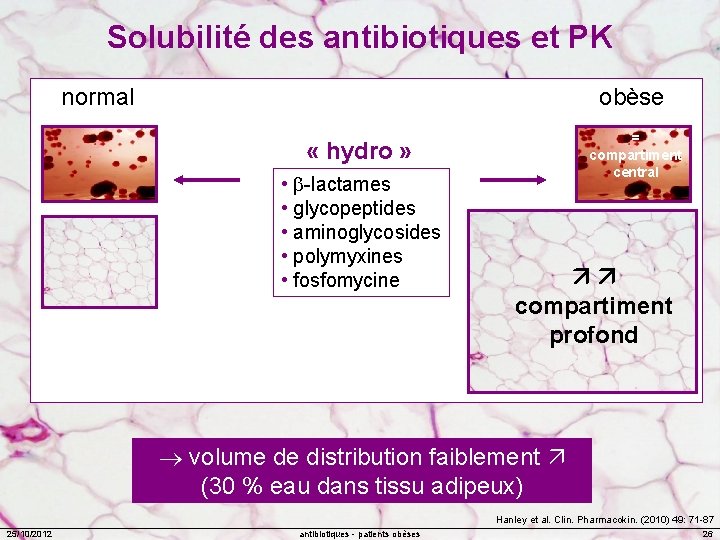 Solubilité des antibiotiques et PK normal obèse = compartiment central « hydro » •