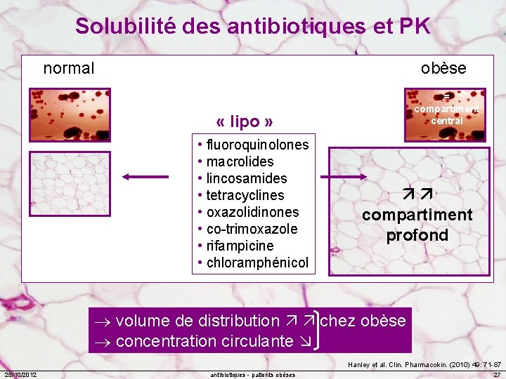 Solubilité des antibiotiques et PK normal obèse = compartiment central « lipo » •