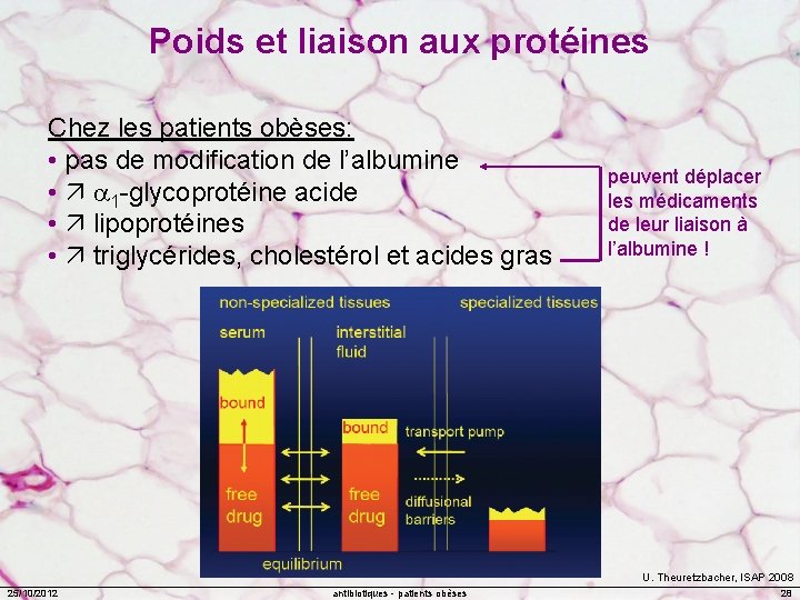 Poids et liaison aux protéines Chez les patients obèses: • pas de modification de