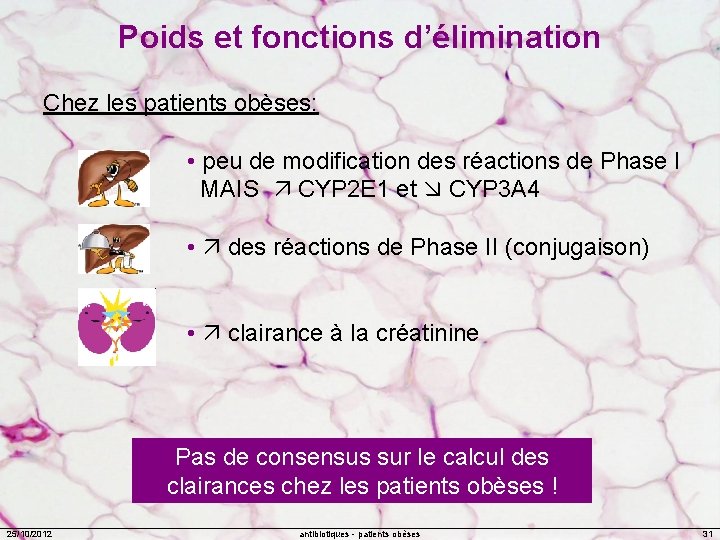 Poids et fonctions d’élimination Chez les patients obèses: • peu de modification des réactions