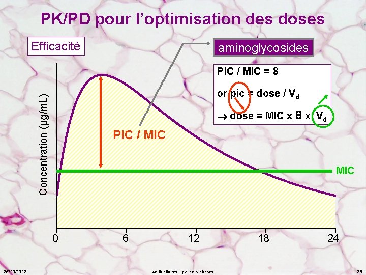 PK/PD pour l’optimisation des doses Efficacité aminoglycosides PIC / MIC = 8 Concentration (µg/m.