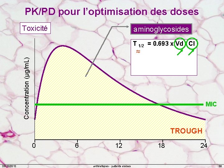 PK/PD pour l’optimisation des doses Toxicité aminoglycosides T 1/2 = 0. 693 x Vd