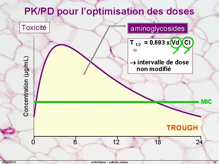 PK/PD pour l’optimisation des doses Toxicité aminoglycosides T 1/2 = 0. 693 x Vd