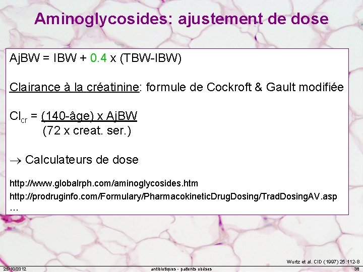 Aminoglycosides: ajustement de dose Aj. BW = IBW + 0. 4 x (TBW-IBW) Clairance