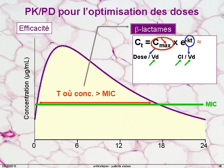 PK/PD pour l’optimisation des doses Efficacité -lactames Ct = Cmax x e-kt Concentration (µg/m.