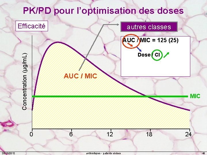 PK/PD pour l’optimisation des doses Efficacité autres classes Concentration (µg/m. L) AUC / MIC