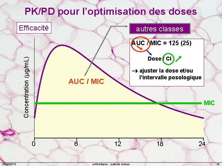 PK/PD pour l’optimisation des doses Efficacité autres classes Concentration (µg/m. L) AUC / MIC