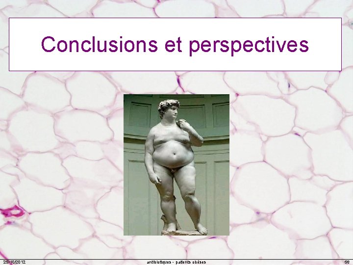 Conclusions et perspectives 25/10/2012 antibiotiques - patients obèses 56 