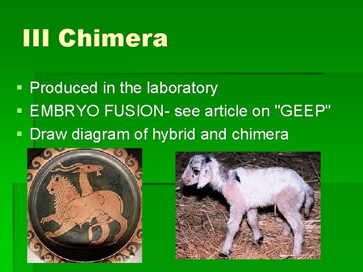 III Chimera § § § Produced in the laboratory EMBRYO FUSION- see article on