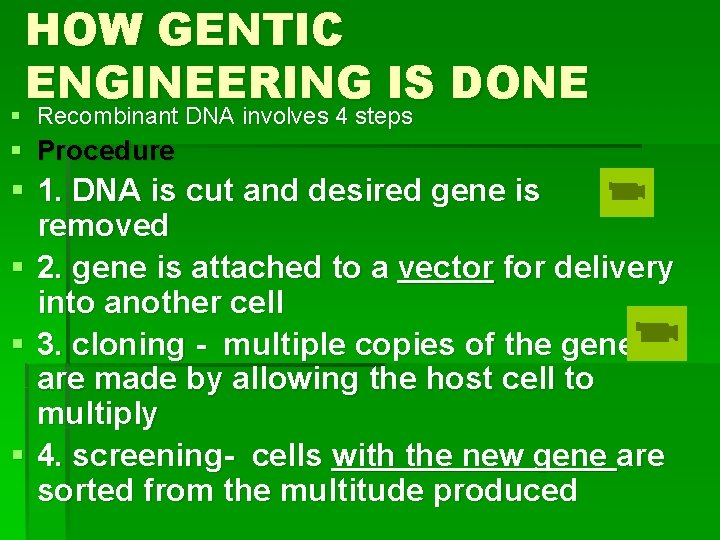 HOW GENTIC ENGINEERING IS DONE § Recombinant DNA involves 4 steps § Procedure §